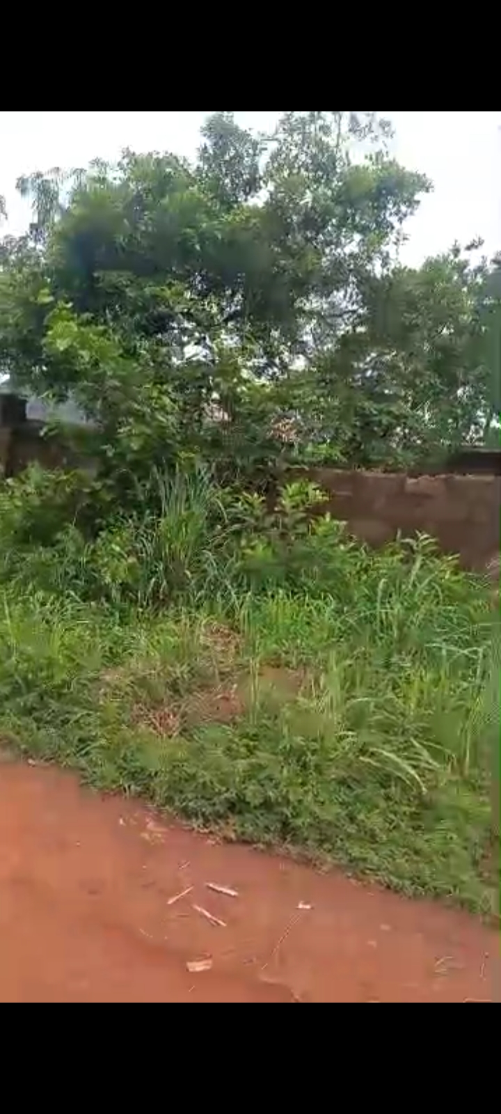Land for Sale in Harmony Estate, Enugu cover picture
