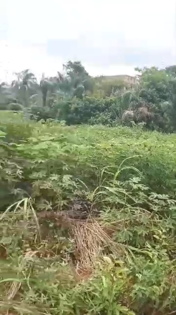 Land for Sale in Conraw estate Emene, Enugu cover picture
